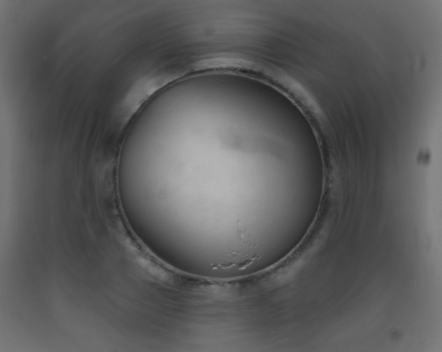 X0000093560937200710151104