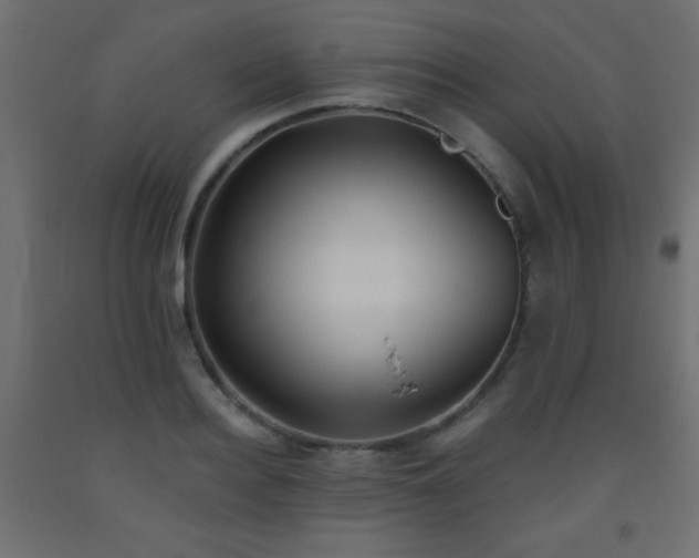 X0000093560940200710151104