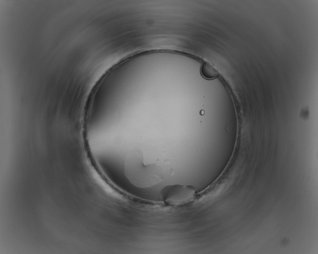 X0000093560941200710151104