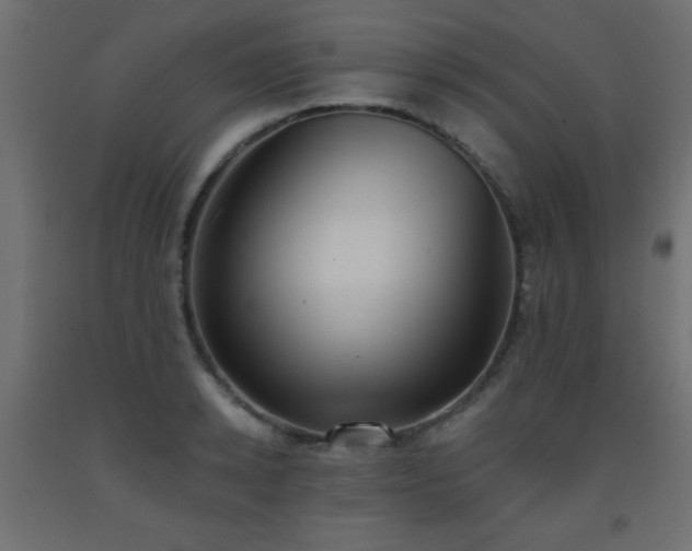 X0000093560942200710151104