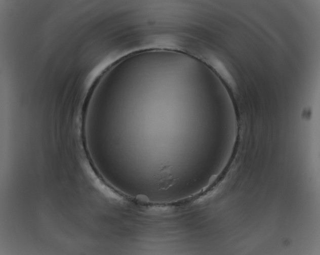X0000093560944200710151104