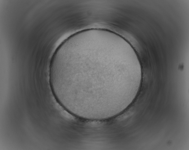 X0000093560950200710151104