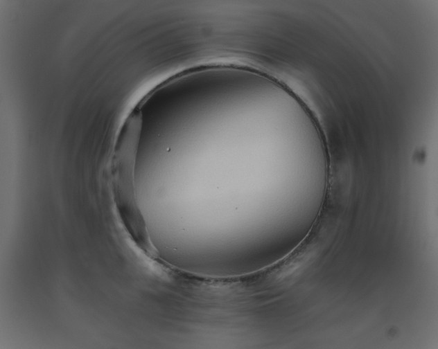 X0000093560951200710151104