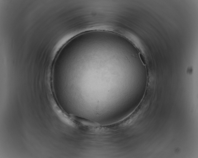 X0000093560952200710151104