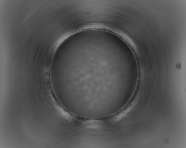 X0000093560953200710151104