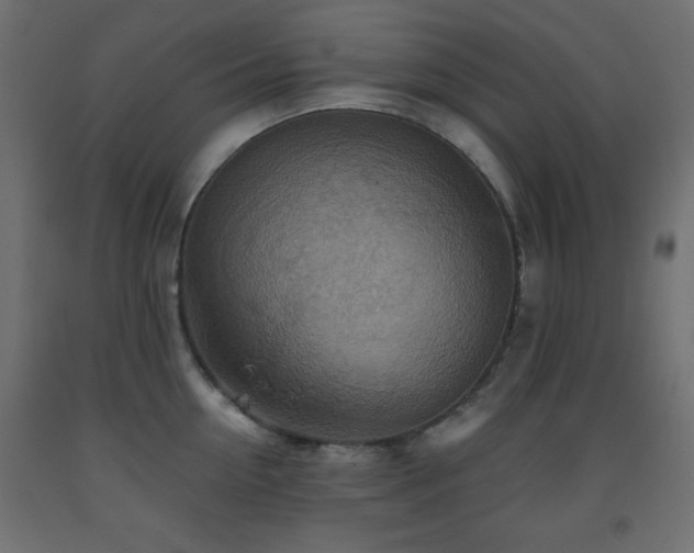 X0000093560954200710151104