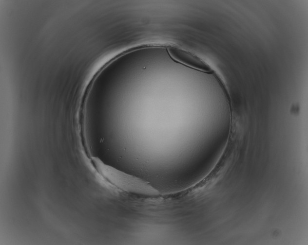 X0000093560959200710151104