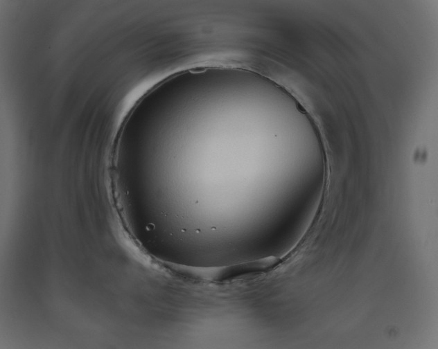 X0000093560960200710151104