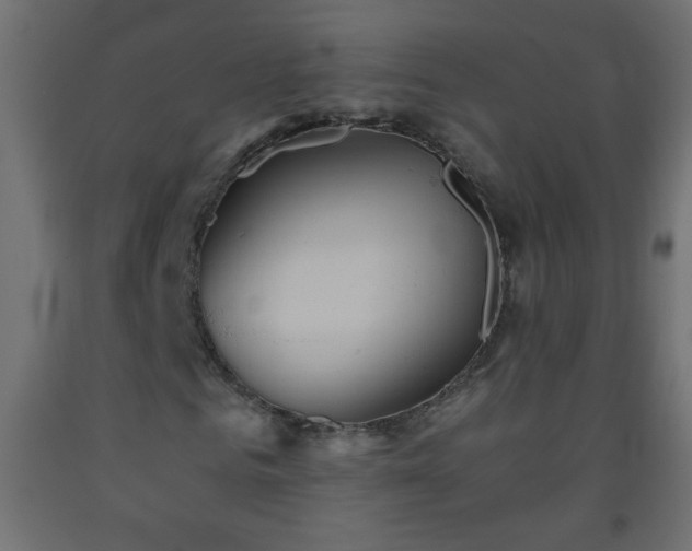 X0000093560961200710151104