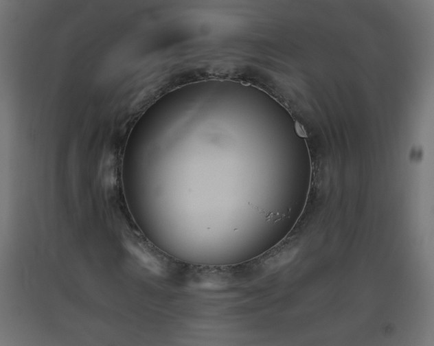X0000093560962200710151104