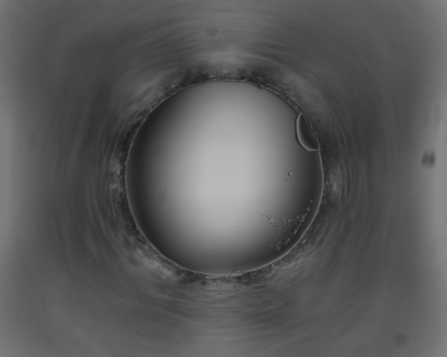 X0000093560964200710151104