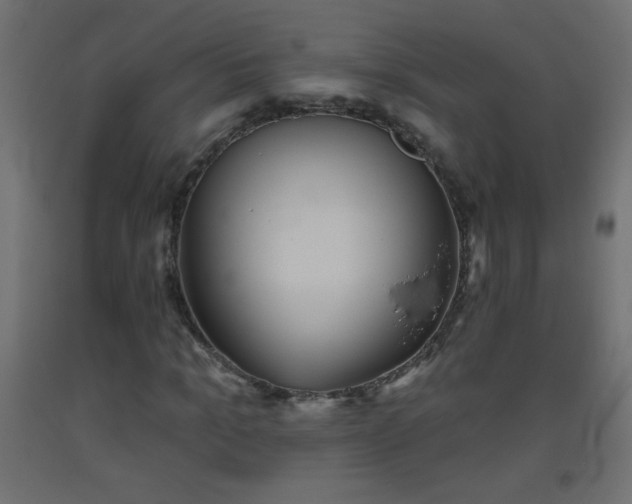 X0000093560965200710151104