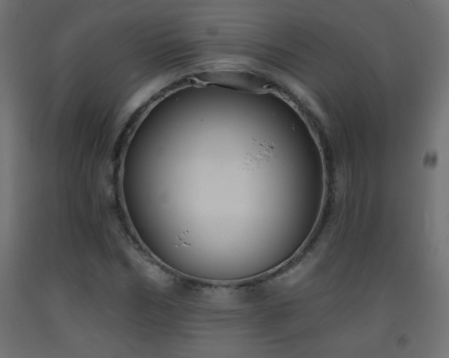X0000093560970200710151104