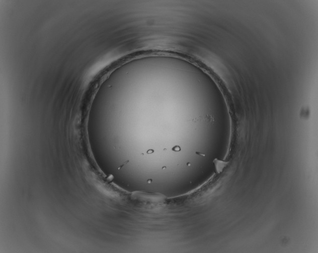 X0000093560971200710151104
