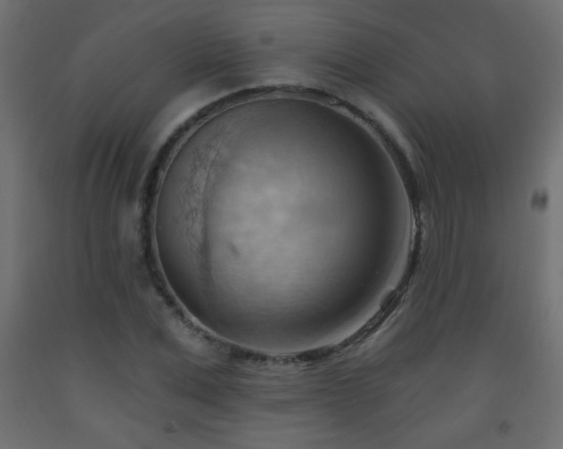 X0000093560975200710151104