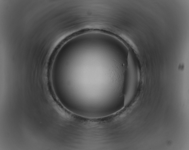 X0000093560976200710151104