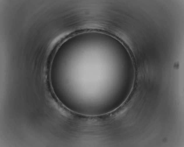 X0000093560979200710151104