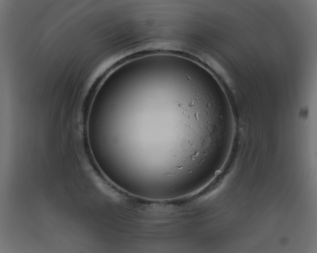 X0000093560981200710151104
