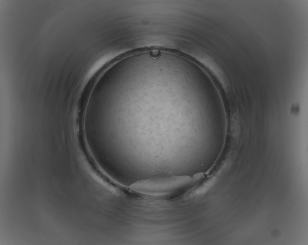 X0000093560983200710151104
