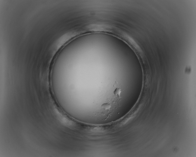 X0000093560986200710151104