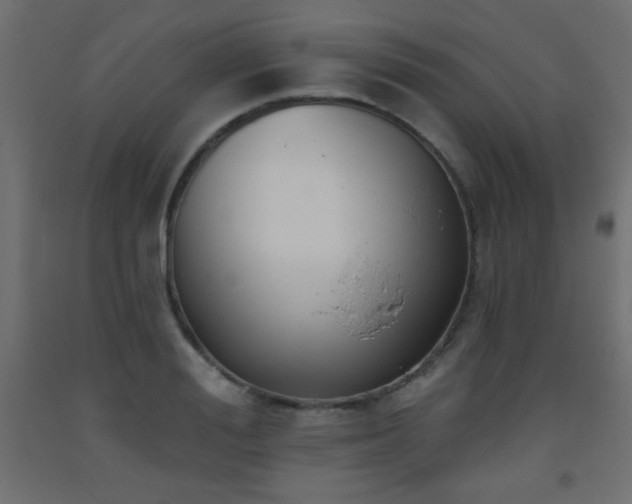 X0000093560988200710151104