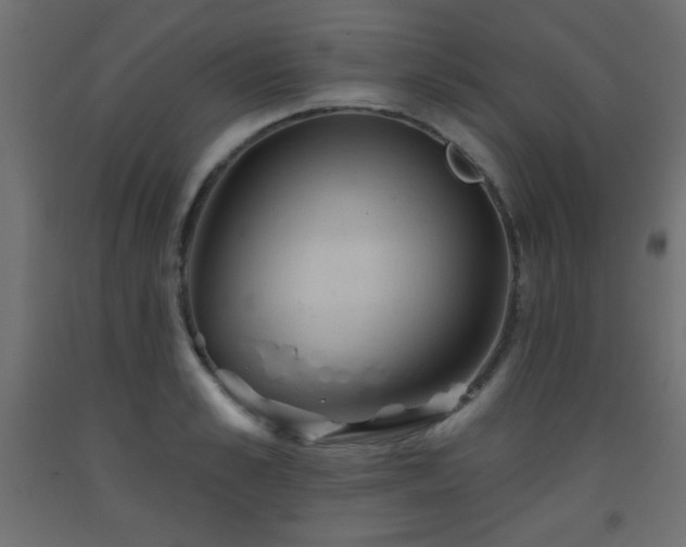 X0000093560989200710151104