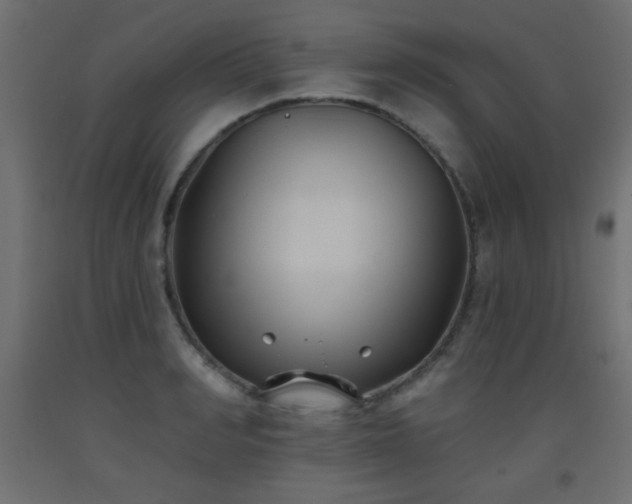 X0000093560990200710151103