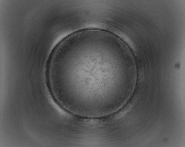 X0000093560991200710151103
