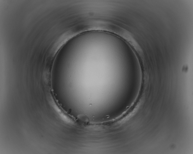 X0000093560993200710151103