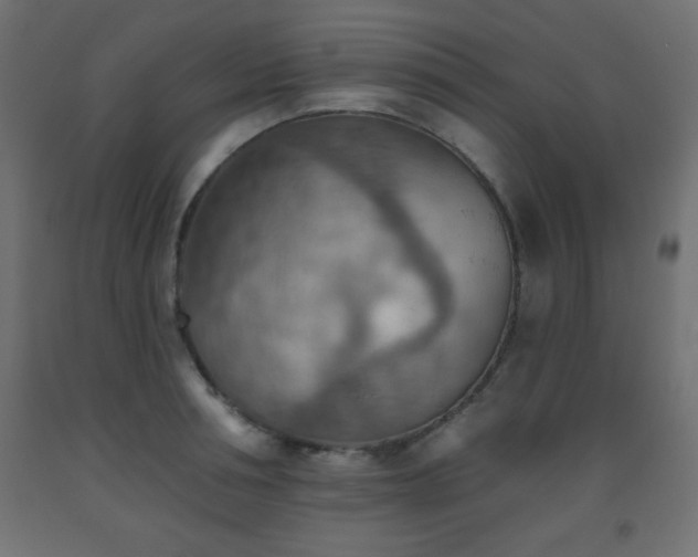 X0000093560994200710151103