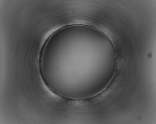 X0000093560995200710151103
