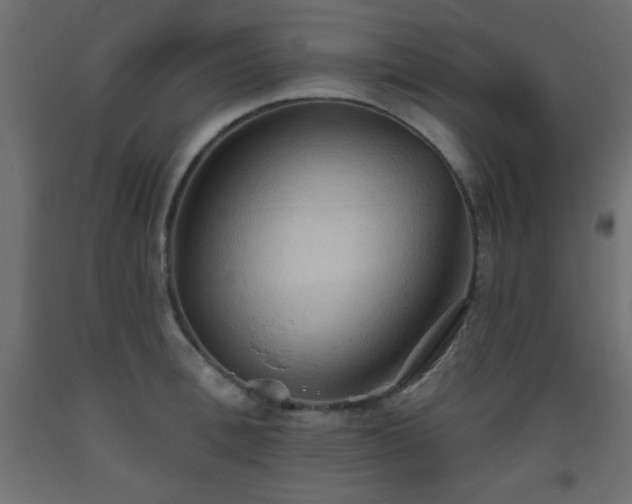 X0000093560996200710151103
