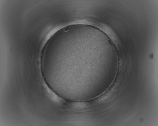 X0000093560998200710151103