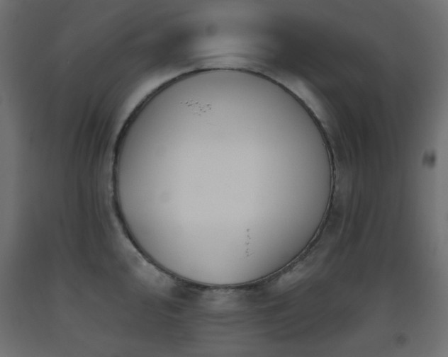 X0000093561000200710151103