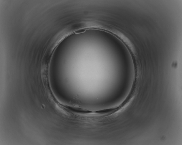 X0000093561001200710151103