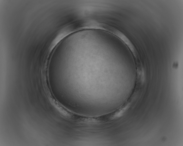 X0000093561002200710151103