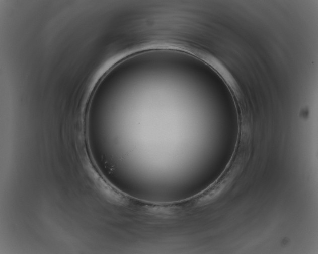 X0000093561004200710151103