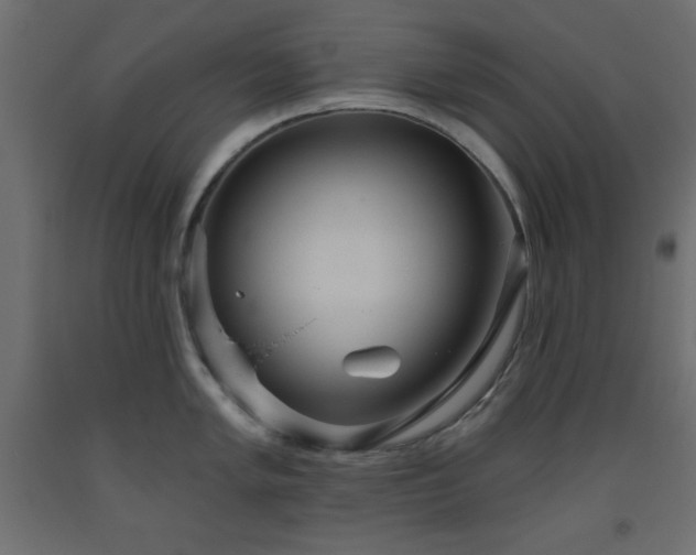 X0000093561005200710151103