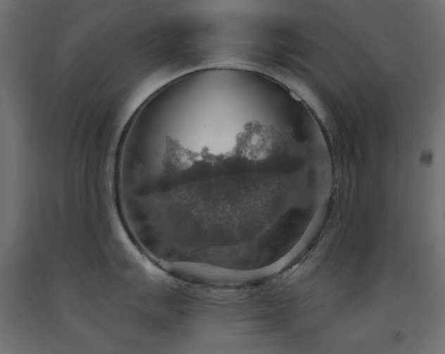 X0000093561007200710151103