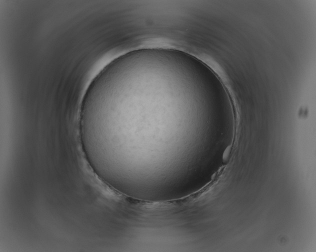 X0000093561008200710151103