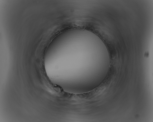 X0000093561009200710151103