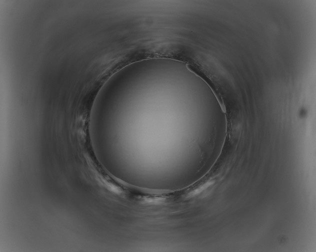 X0000093561010200710151103