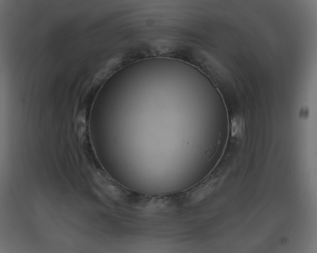 X0000093561011200710151103