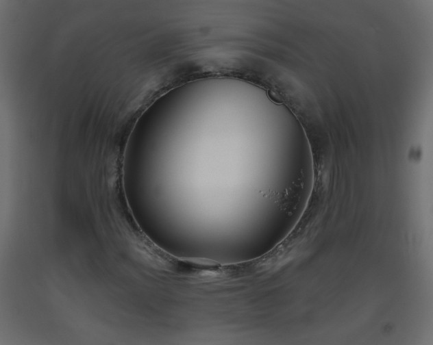 X0000093561012200710151103