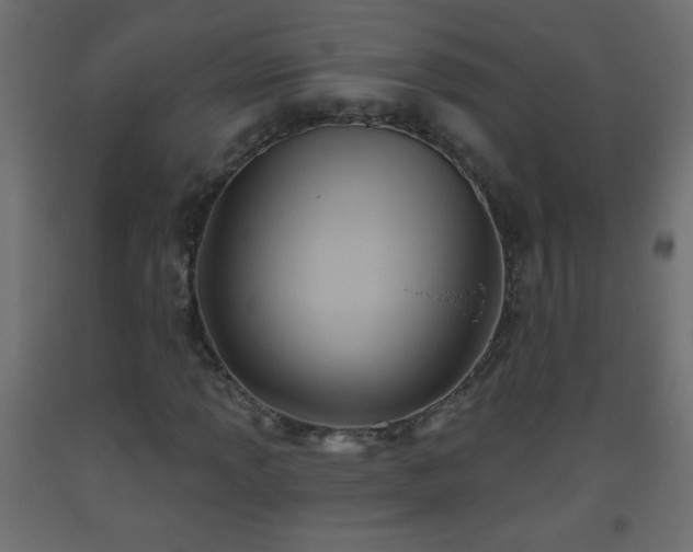 X0000093561013200710151103