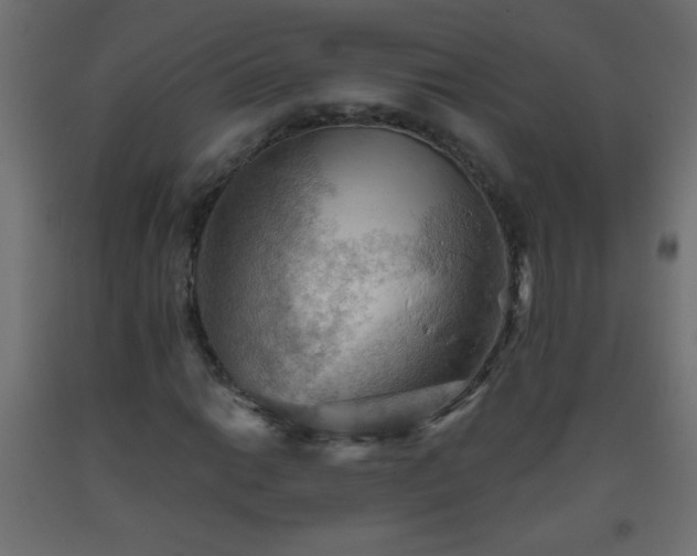 X0000093561014200710151103