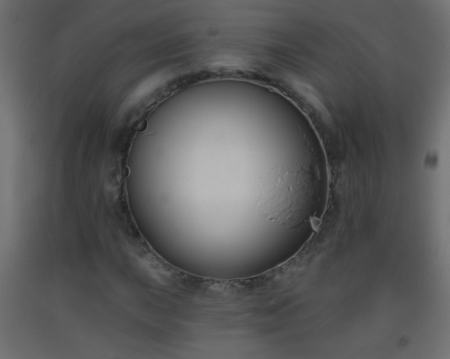 X0000093561015200710151103