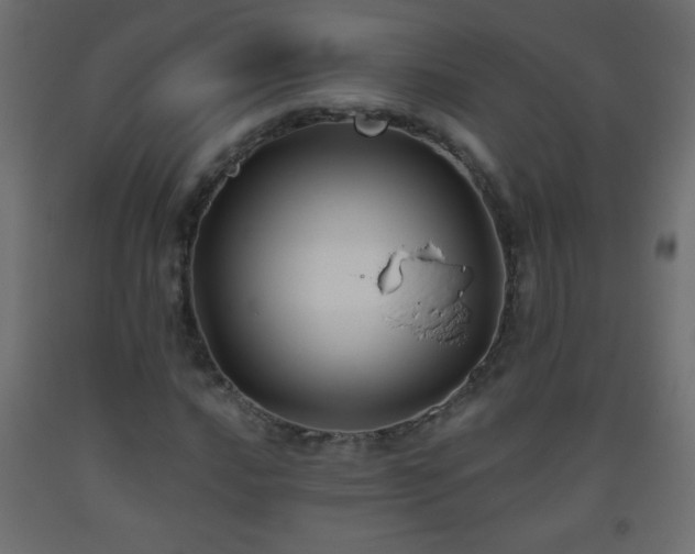 X0000093561016200710151103