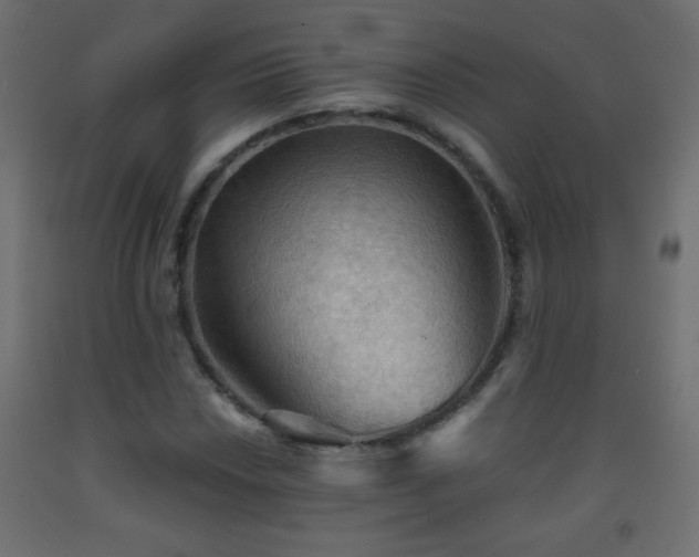 X0000093561018200710151103