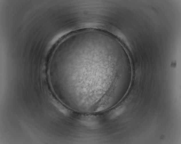 X0000093561019200710151103